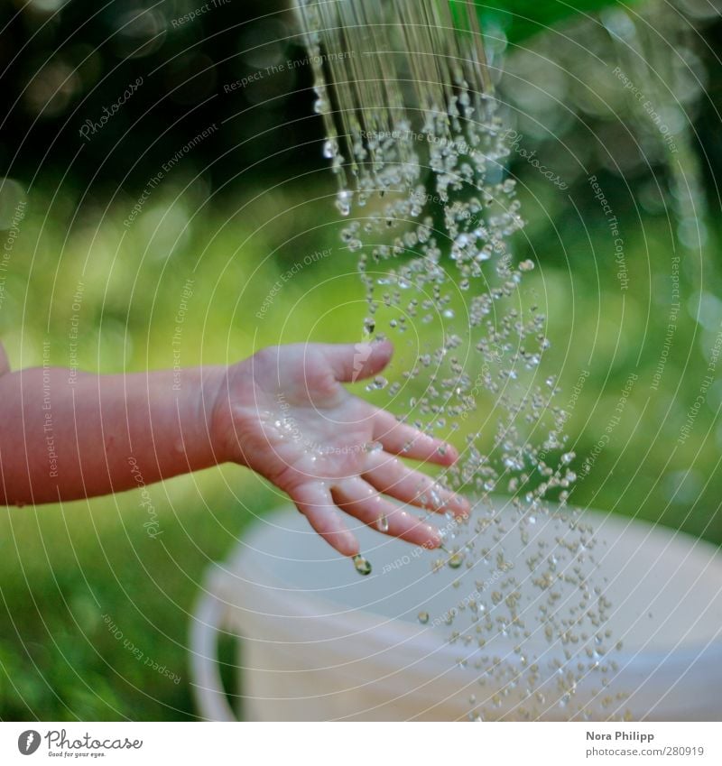 pura Personal hygiene Human being Child Baby Toddler Infancy Arm Hand Fingers 1 1 - 3 years Elements Water Summer Beautiful weather Grass Touch Discover Playing