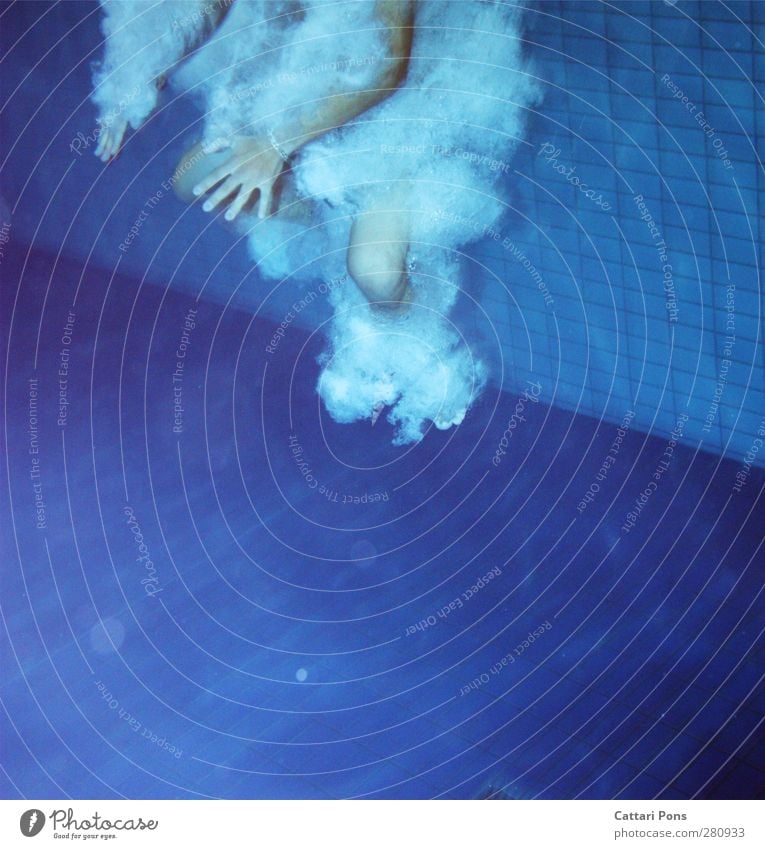 jump into water Swimming & Bathing Dive Jump Aquatics Swimming pool Masculine 1 Human being Movement Make Fluid Cold Wet Thin Blue Water Hand Underwater photo