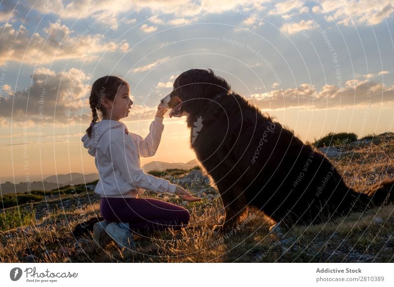 Beautiful little girl and her dog playing at sunset together Girl Dog Happy Sunset big Green Love Pet Youth (Young adults) Grass Together Child Landscape