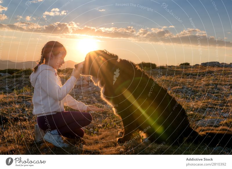 Beautiful little girl and her dog playing at sunset together Girl Dog Happy Sunset big Green Love Pet Youth (Young adults) Grass Together Child Landscape