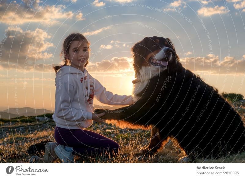 Beautiful little girl and her dog playing at sunset together Girl Dog Happy Sunset big Green Love Pet Youth (Young adults) Grass Together Child Landscape