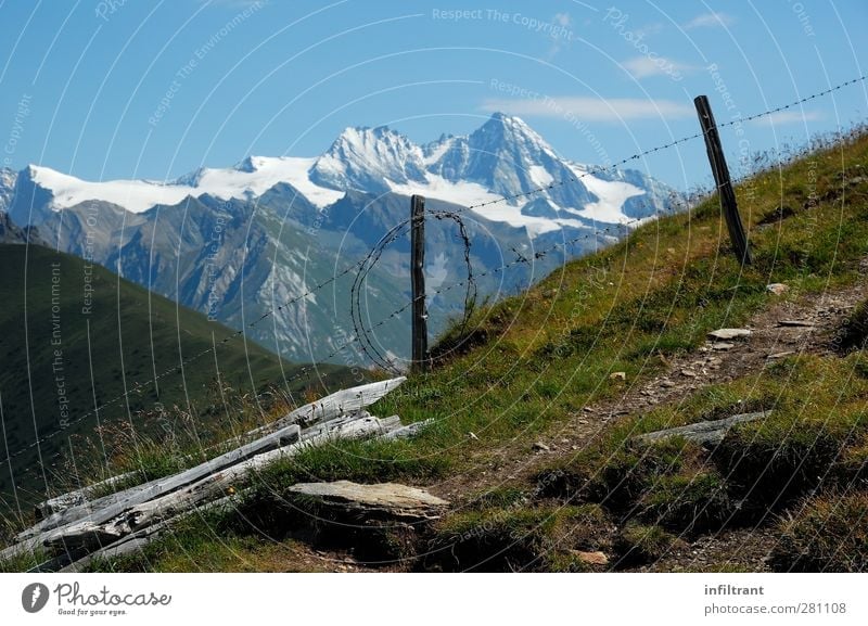 In the Alps Mountain Hiking Climbing Mountaineering Landscape Summer Beautiful weather Peak Snowcapped peak Calm Loneliness Freedom Climate Nature