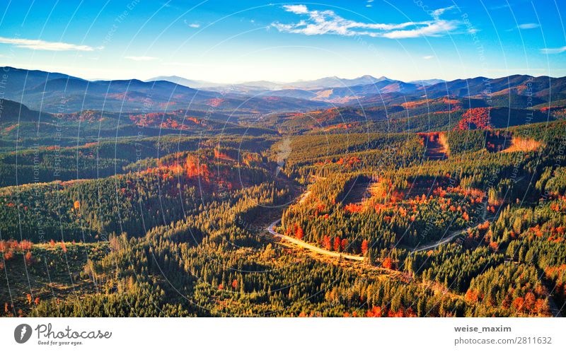 Road in fall season woodland with clouds and blue sky Vacation & Travel Tourism Trip Far-off places Freedom Expedition Summer Mountain Hiking Environment Nature