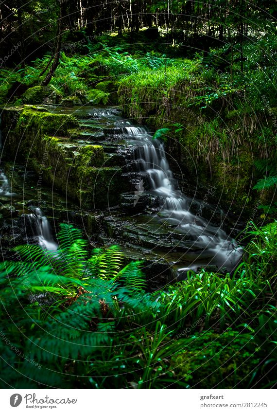 Creek with waterfall in forest near Ullapool in Scotland Brook Movement Energy Renewable Flow River Peaceful Fresh Healthy Great Britain Background picture