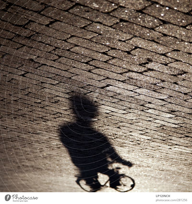 Shadow Biker Life Cycling Human being Masculine Man Adults Body 1 13 - 18 years Child Youth (Young adults) 18 - 30 years Transport Road traffic Street