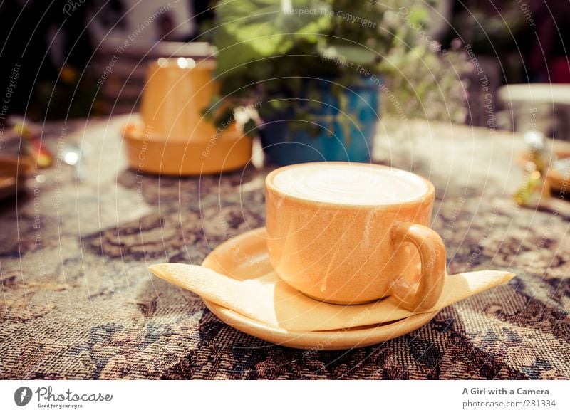 coffee in Tallinn Food Beverage Hot drink Coffee Cappuccino Crockery Cup Yellow To have a coffee Relaxation Full Multicoloured Decoration Exterior shot Close-up