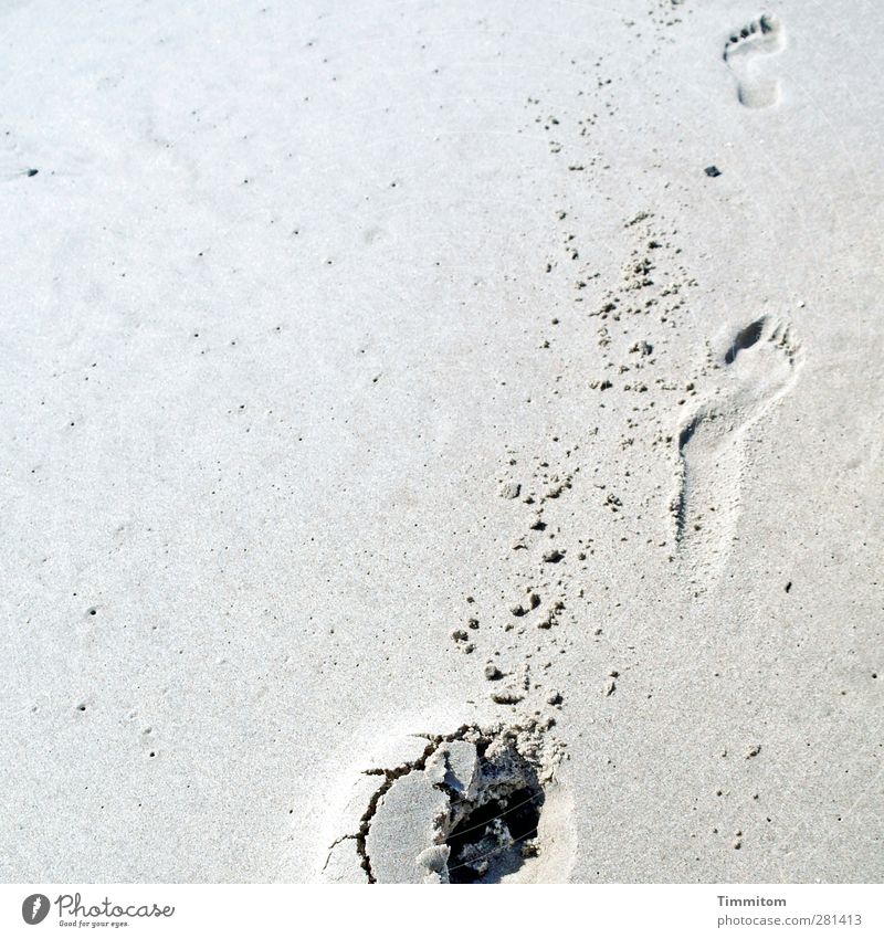 ...go... Vacation & Travel Beach Sand Denmark Going Simple Gray Black Footprint Colour photo Subdued colour Exterior shot Deserted Copy Space left Day