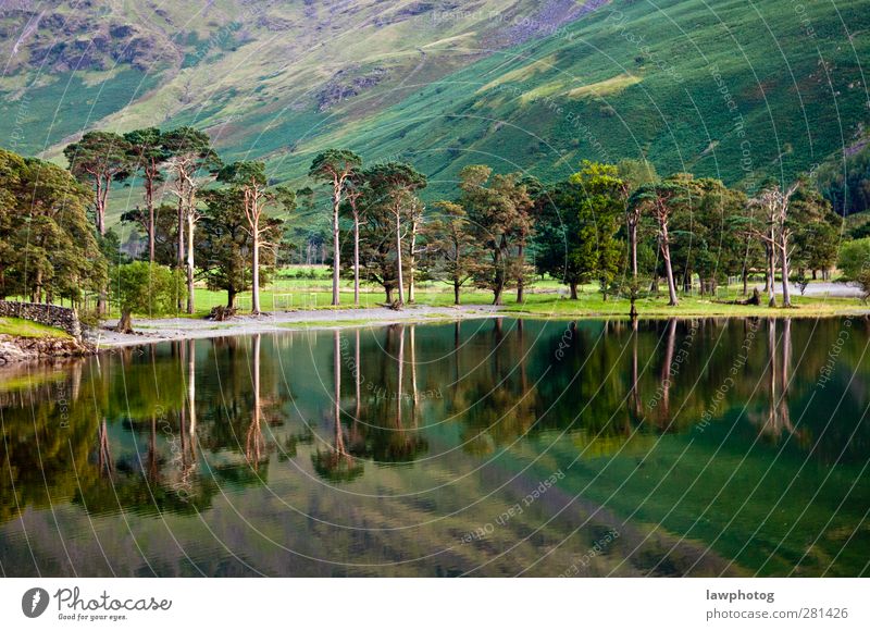 Buttermere Valley Nature Landscape Water Spring Summer Beautiful weather Tree Hill Mountain Lake symmetrical Colour photo Multicoloured Exterior shot Deserted
