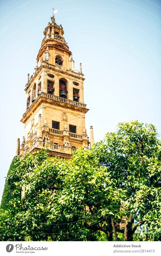 Exterior of The Cathedral and former Great Mosque of Cordoba Mezquita Interior design Islam Spain Building World heritage islamic Decoration Arch Stone White