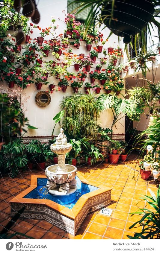 Typical Andalusian patio with fountain and numerous plants geraniums and carnations on the walls. Cordoba, Spain Home Florida Interior design Courtyard Garden