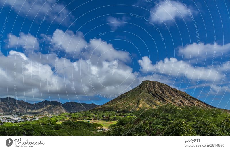 Inland Oahu/Hawaii Vacation & Travel Tourism Trip Adventure Far-off places Freedom Expedition Summer Island Sky Clouds Beautiful weather Tree Mountain Peak