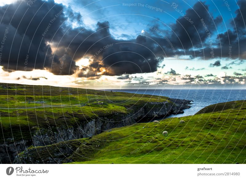 Gorge to Smoo Cave with flock of sheep at Durness in Scotland Atlantic Ocean Vantage point Canyon Twilight turniness River Great Britain Herd Highlands Cliff
