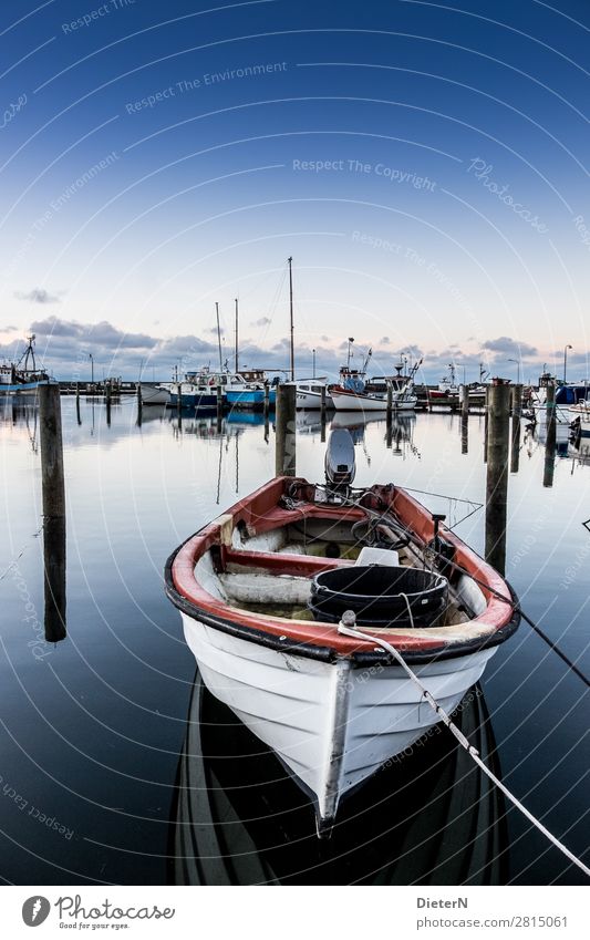 silent Fishing boat Harbour Rope Blue Black White Wooden stake Water Sky Colour photo Subdued colour Exterior shot Deserted Copy Space top Morning Dawn Light
