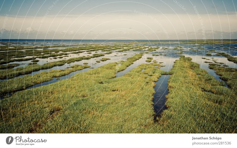 Meadow & Water Environment Nature Landscape Exceptional Infinity North Sea Islands Inundated Deluge Low tide High tide Horizon Gutter mandø Denmark Green Blue
