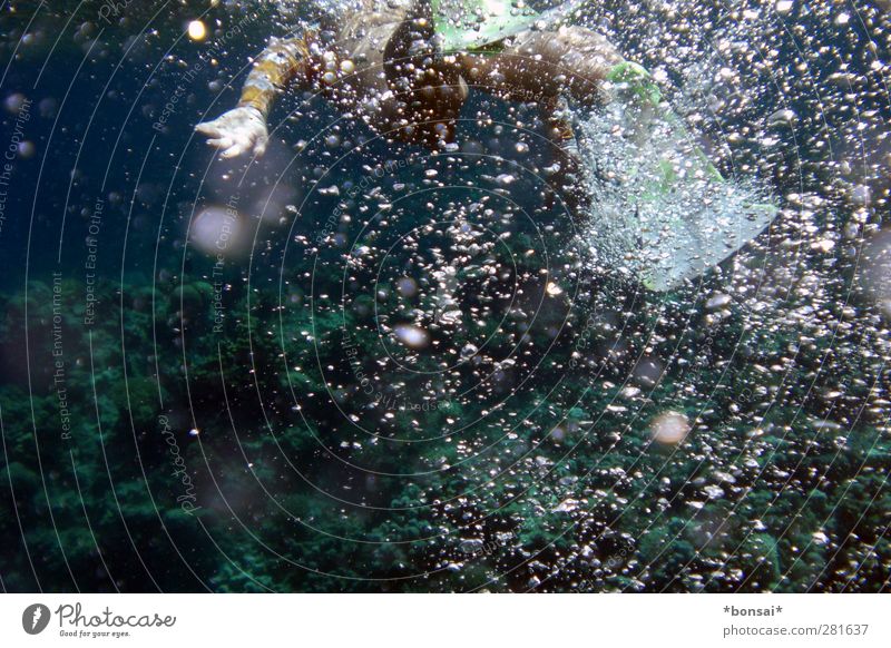 water rat Swimming & Bathing Ocean Aquatics Dive Feminine Woman Adults 1 Human being Water Red Sea Breathe Movement Dark Fluid Wet Discover Ease Nature