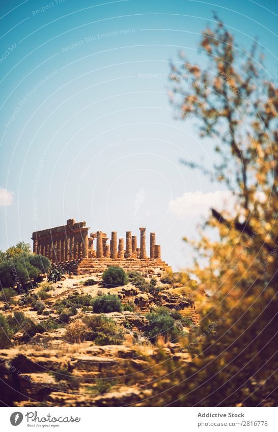 View of the Valley of the Temples in Agrigento, Sicily, Italy Greek sicilia hellenistic Stone Vacation & Travel Sicilian Landmark Column doric touristic God