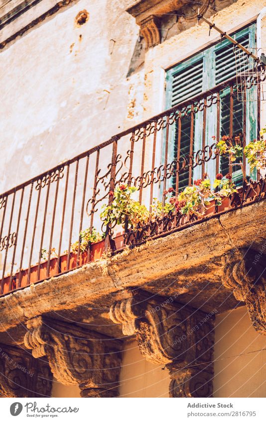 Detail view of typical urban sicilian decoration in Sicily, Italy. Texture background Architecture Europe House (Residential Structure) Mediterranean Art Street