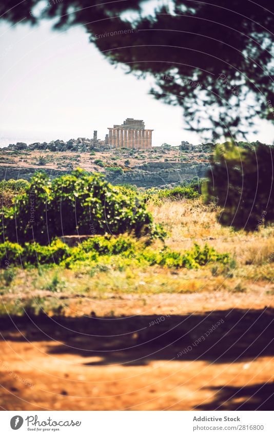 Ancient Greek temple in Selinunte, Sicily, Italy. Detail view. Agrigento sicilia hellenistic Stone Vacation & Travel Sicilian Landmark Column doric touristic