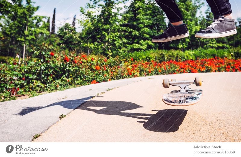 Skateboarder woman practicing ollie at park asian Action Exterior shot Sunlight Ramp Park Skateboarding committed determined Movement Human being 1 Woman Energy