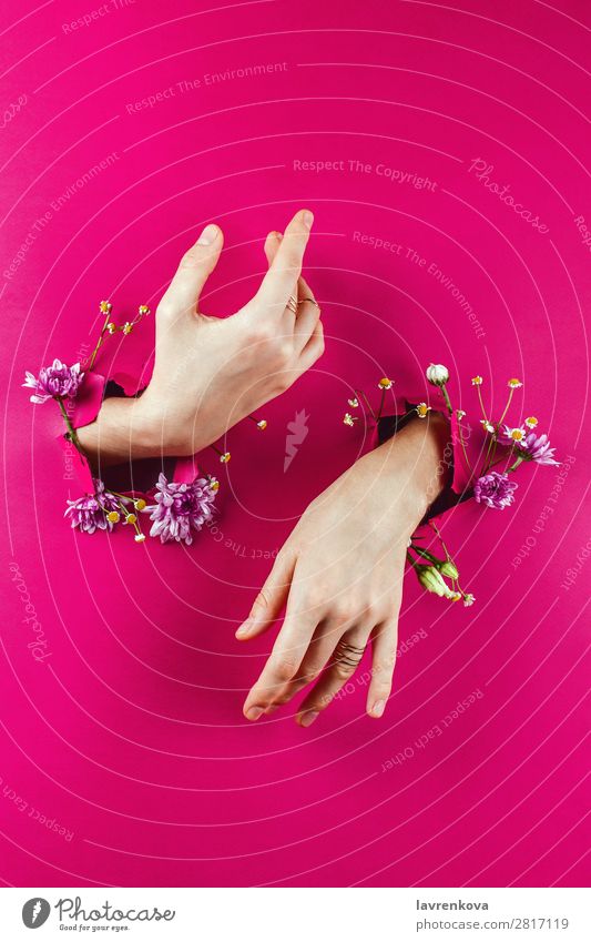 Woman's hands through torn paper filled with flowers Aromatic Beautiful Beauty Photography Flower Bouquet Bracelet Bud Conceptual design Fashion Glamor Paper