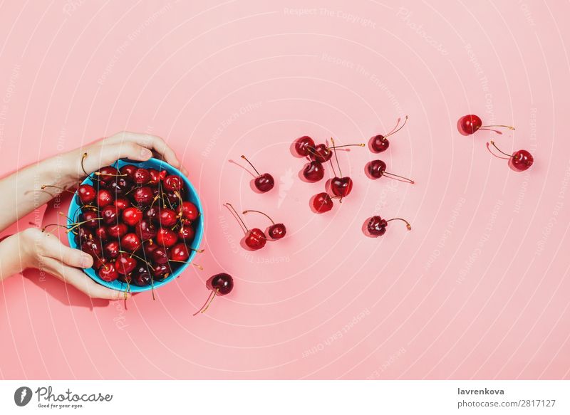 Woman's hands holding blue bowl full of fresh organic cherries Background picture Berries Cherry Colour Conceptual design Delicious Dessert Diet Food