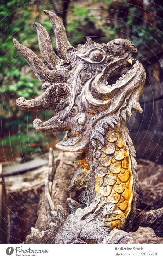 Stone dragon in temple Vietnam Adventure Ancient Architecture Art Asia asian Building Carving Craft (trade) Culture cultures Decoration Dragon East Effect