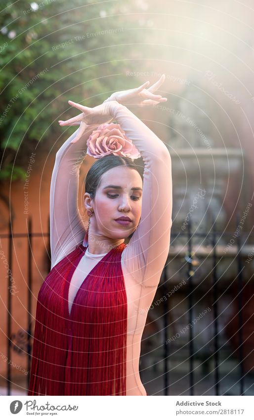 flamenco dancer in the streets of sevilla Flamenco Street Seville Dance Costume Characteristic Spain Spanish Andalusia Woman Youth (Young adults) Brunette