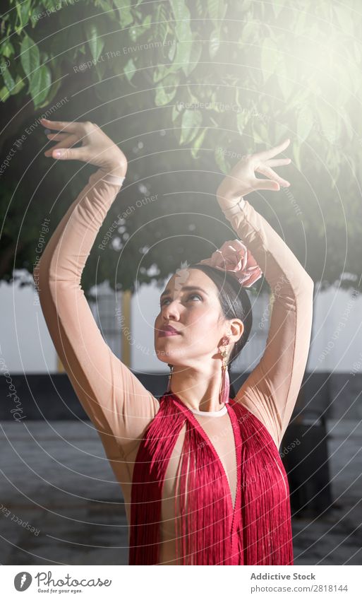 flamenco dancer in the streets of sevilla Flamenco Street Seville Dance Costume Characteristic Spain Spanish Andalusia Woman Youth (Young adults) Brunette