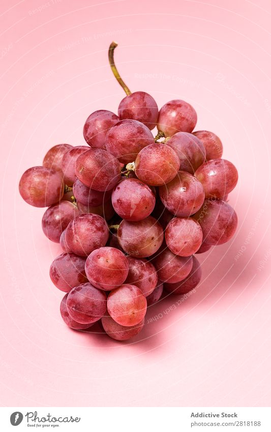 Grapes bunch Bunch of grapes Mature Fruit Fresh Healthy Food Sweet Berries Nature Dessert Nutrition Branch Juicy Purple Harvest Red Natural Delicious Plant