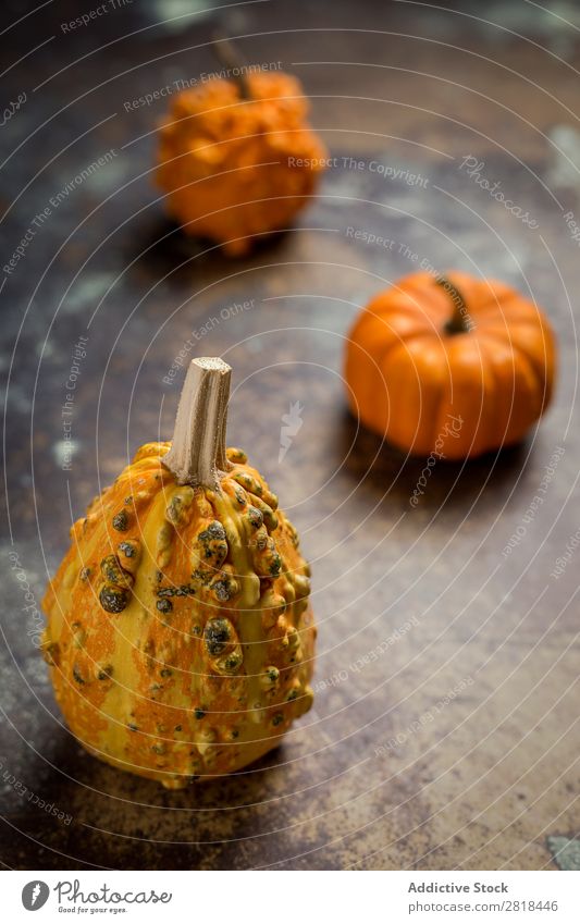 Halloween decoration background Hallowe'en Background picture Autumn Pumpkin Spider Decoration Fear Wood Dark Object photography Night Veal Orange Costume