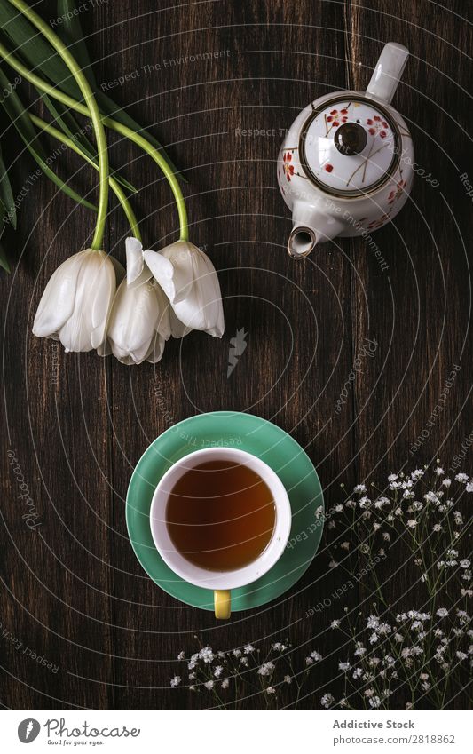 Cup of tea with Floral background with red and white tulips and daisies Flower Tulip Tea Background picture Leaf decor Natural Nature pretty Card Frame Colour