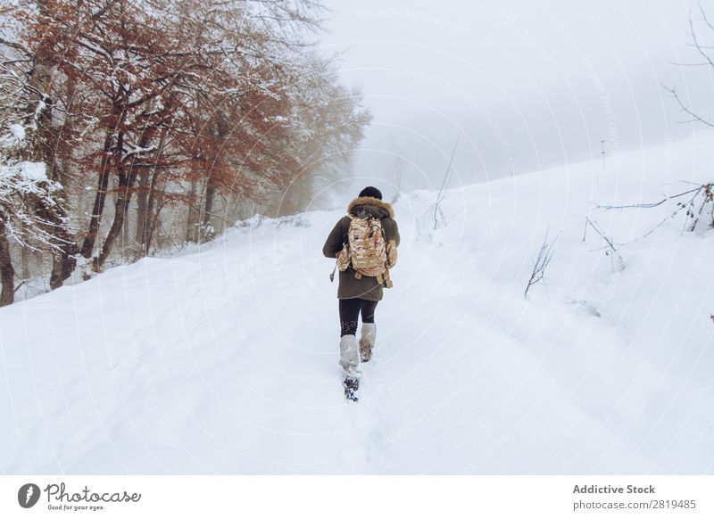 Tourist with backpack in snowy forest Nature Forest Winter Snow traveller Backpack Walking Street Cold Landscape White Frost Tree Seasons Scene Beautiful