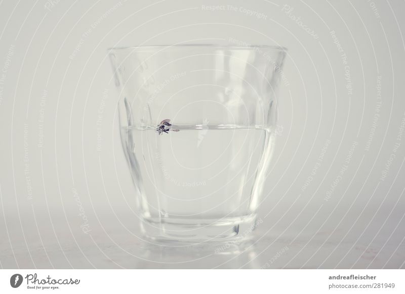flying water. Food Finger food Drinking water Crockery Glass Metal Water Esthetic Art Disgust Fly Reflection Gray Smooth Calm Swimming & Bathing