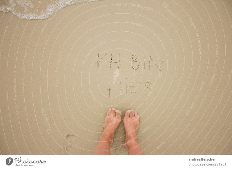 I'm here. Vacation & Travel Summer Ocean Feet To enjoy Emotions Looking Write Tracks Sand Beach Water Waves Bubble Brown Dappled Imprint Splay