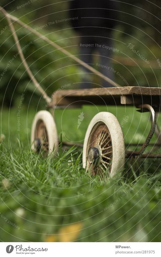 No title Nature Grass Garden Meadow Vehicle Vintage car Trailer Baby carriage Green Pull Rust Colour photo Subdued colour Exterior shot Close-up Deserted