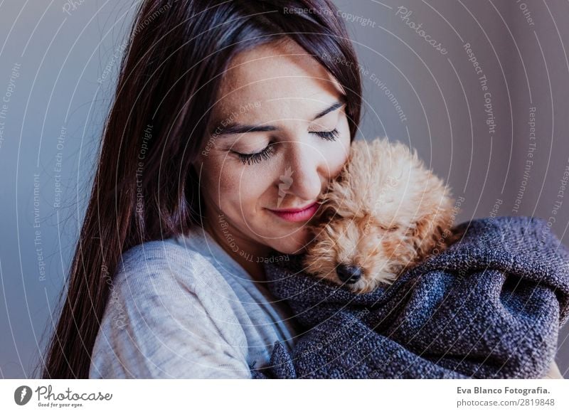 portrait of a Cute brown toy poodle with owner Lifestyle Joy Happy Beautiful Leisure and hobbies Freedom House (Residential Structure) Human being Feminine