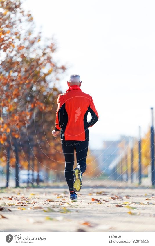 Sporty man jogging in a park stock photo