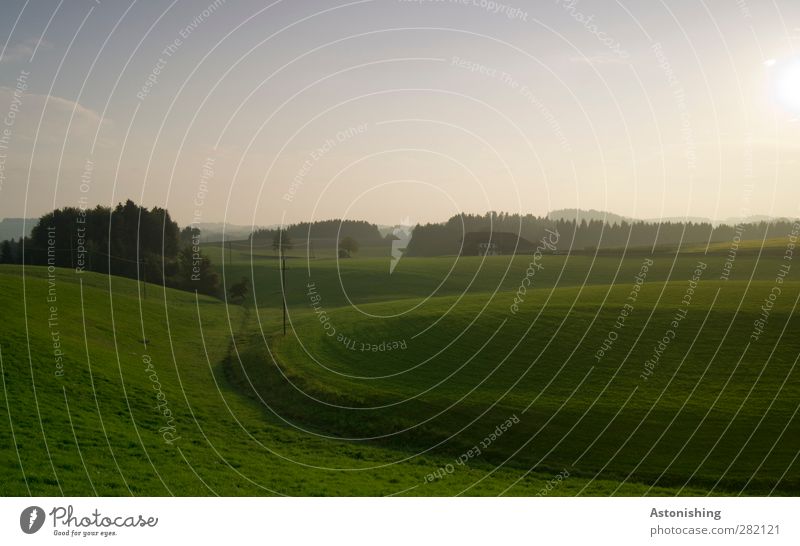 green Environment Nature Landscape Plant Earth Air Sky Clouds Horizon Sun Sunrise Sunset Sunlight Autumn Weather Beautiful weather Tree Grass Bushes Meadow