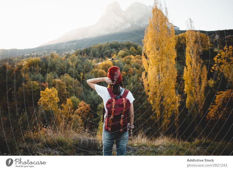 Woman in hat in nature Nature Walking Youth (Young adults) Human being Lifestyle Landscape Leisure and hobbies Adventure Freedom Seasons Autumn Tree
