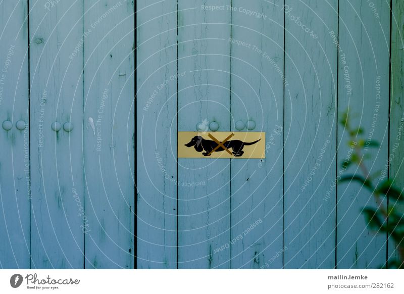 dachshund Signs and labeling Wood Metal Blue Yellow Bans Dachshund Colour photo Exterior shot Deserted Central perspective