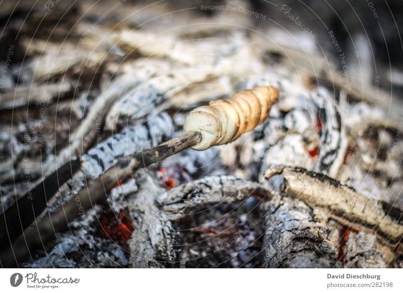 Stock bread is a matter of patience Food Dough Baked goods Bread Roll Nutrition Vegetarian diet Finger food Adventure Camping Fire Beautiful weather Blue Brown