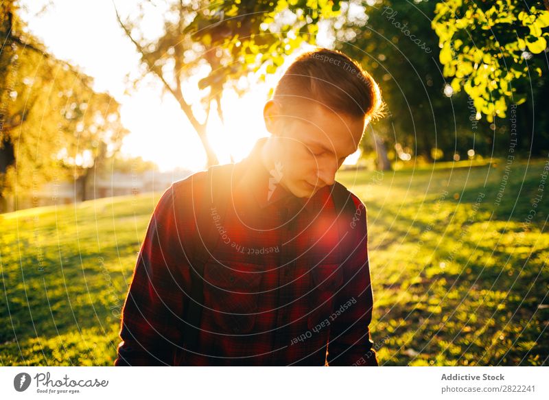 Young man in sunny park Man Youth (Young adults) Lawn Park Grass Summer Happy Lifestyle Green Nature Leisure and hobbies Cheerful Tree Sunbeam Smiling Joy