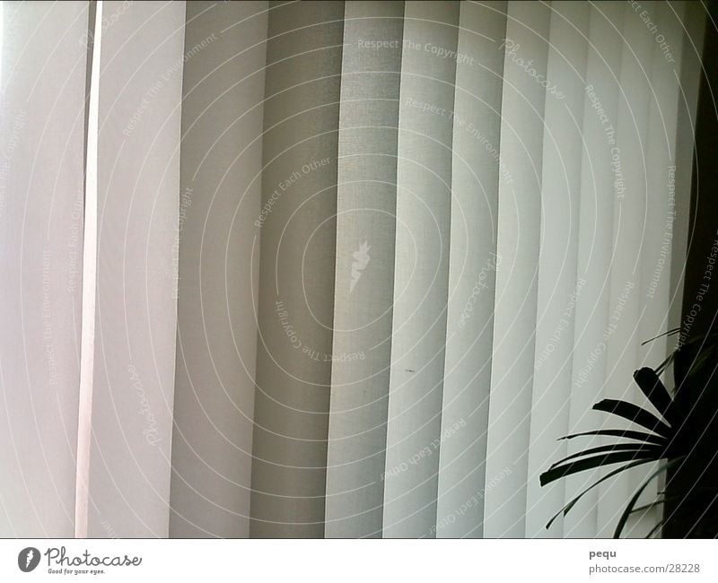 Vertical curtain Curtain Palm tree Stripe Joist