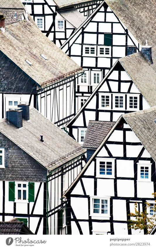 Freudenberg Living or residing Flat (apartment) House (Residential Structure) North Rhine-Westphalia Village Detached house Manmade structures Building
