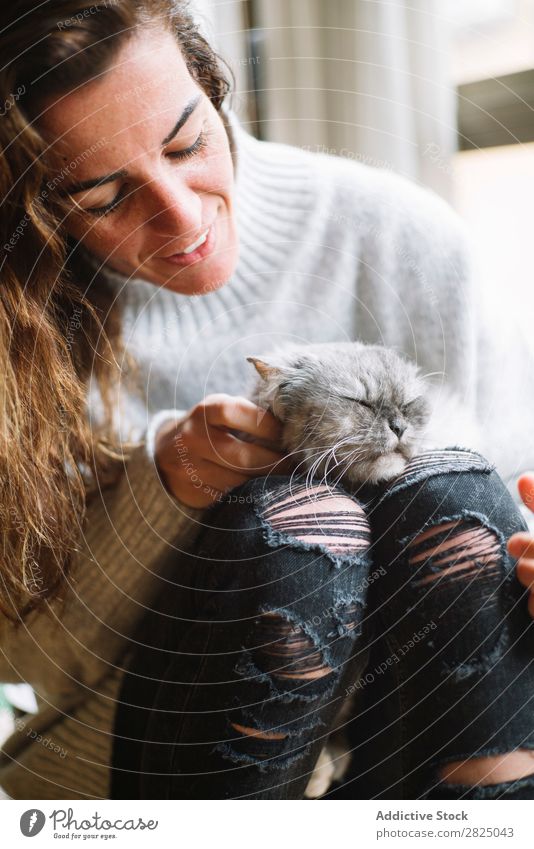 Smiling woman stroking cat Woman Home Relaxation Lifestyle Cat Pet Friendship Gray Cheerful Beautiful Room Human being Easygoing Adults