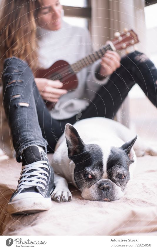 Woman and dog relaxing at home Home Relaxation Lifestyle Ukulele Guitar Musician Dog Pet Friendship Lie (Untruth) Beautiful Room Human being Easygoing Adults