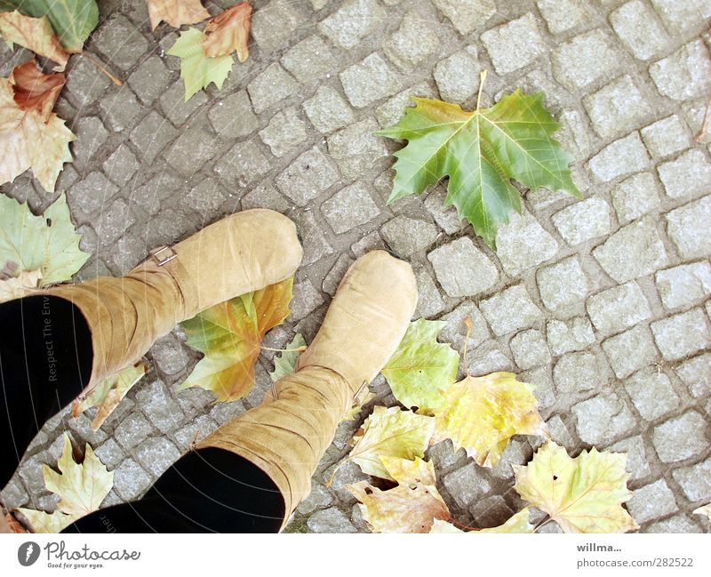 Autumn begins. City pavement. Female legs in soft suede boots. Boots feet Legs Leaf Maple leaf Stand Transience Paving stone Wait Autumnal