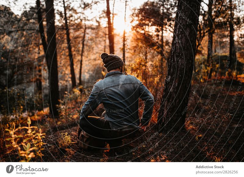Man having peaceful time in the forest at sunset Human being Rest Sit Tourist Forest Looking Sunset Tree Portrait photograph Autumn Youth (Young adults) Rural