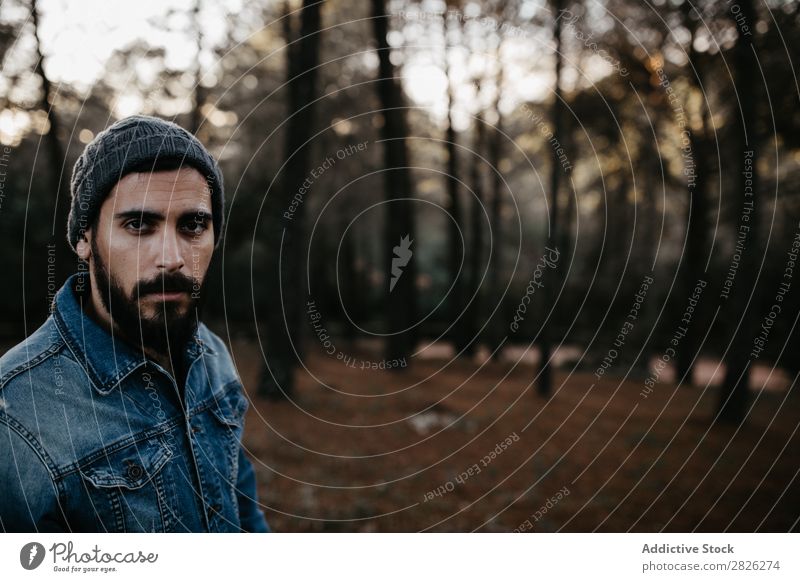 Bearded man in the forest Man Tourist Forest Looking into the camera Portrait photograph Autumn Youth (Young adults) Rural Nature Relaxation Silent Stand