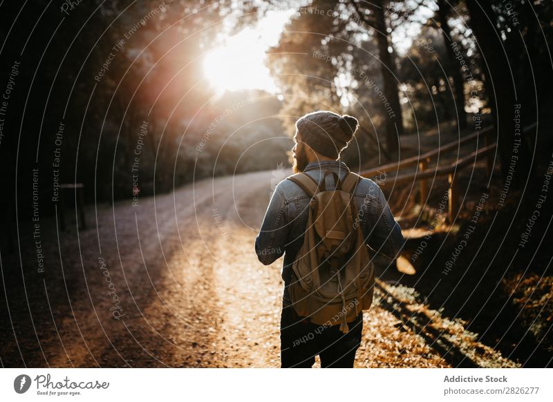 Man with backpack walking in the countryside Tourist Street Forest Backpack Autumn Tourism Vacation & Travel Adventure Youth (Young adults) Trip backpacker